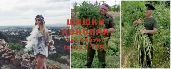 шишки Алзамай