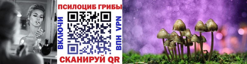 Псилоцибиновые грибы Psilocybine cubensis  где купить   Кремёнки 
