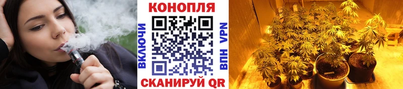 где найти наркотики Кремёнки Бошки Шишки Amnesia